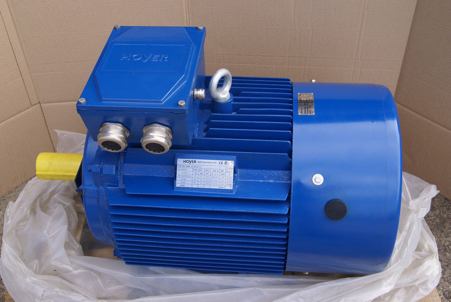 Hoyer Motors Y2E2 250M1-4 B3, 3+ HASE INDUCTION MOTOR, 75kW/100HP, 380-420/660-690V  (Request price)