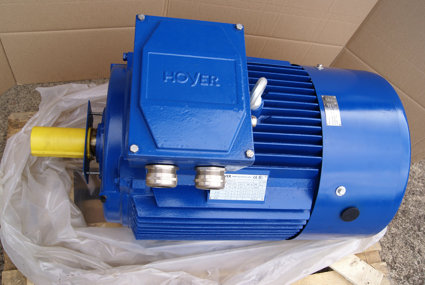 Hoyer Motors Y2E2 250M1-4 B3, 3+ HASE INDUCTION MOTOR, 75kW/100HP, 380-420/660-690V  (Request price)
