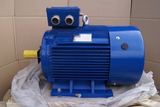 Hoyer Motors Y2E2 250M1-4 B3, 3+ HASE INDUCTION MOTOR, 75kW/100HP, 380-420/660-690V  (Request price)
