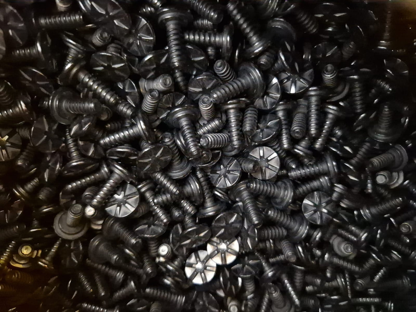 Screws with special head 1 D 5 x 13,5 (Request price)