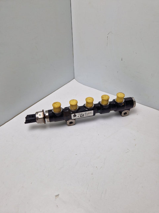 Fuel Rail Citroen C4 Grand Picasso from 2006 to 2010 | REGE: 965459-0 / 9654592680 6PH1001 / 9655465480  (Request price)