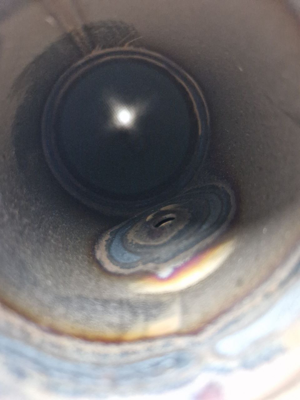 Catalytic Converter Particulate Filter Ford 1 902 097  EN: F1F1-5E212-AB  (Request price)